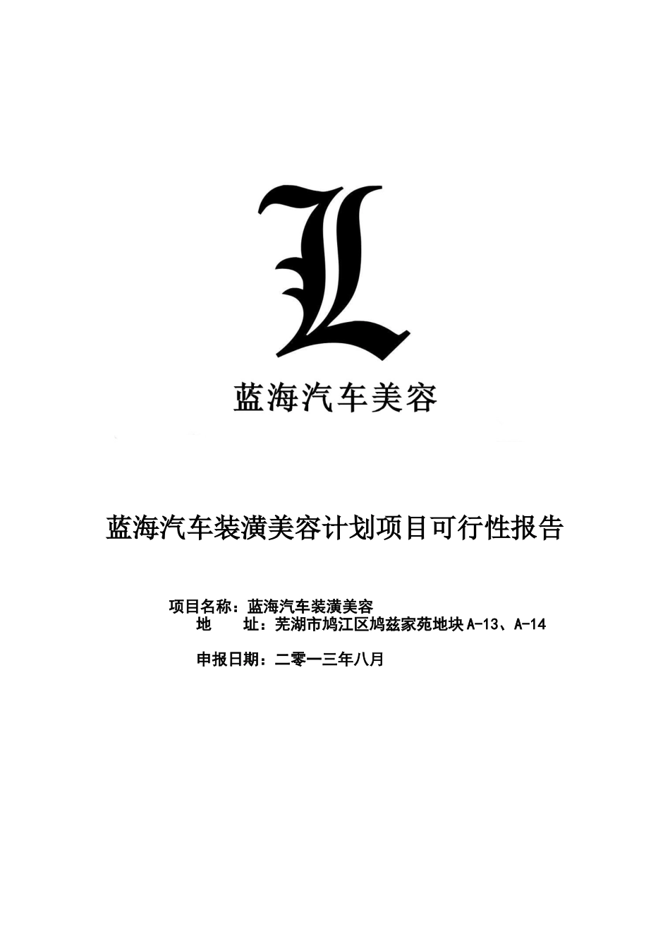 蓝海汽车美容装潢可行性研究报告_第2页