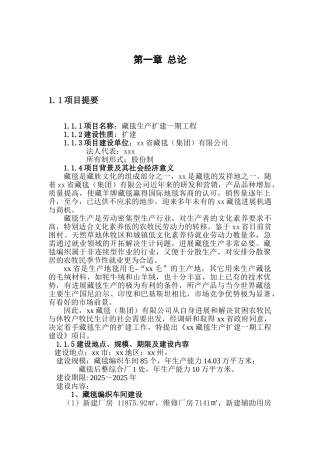 藏毯生产扩建项目可行性计划书