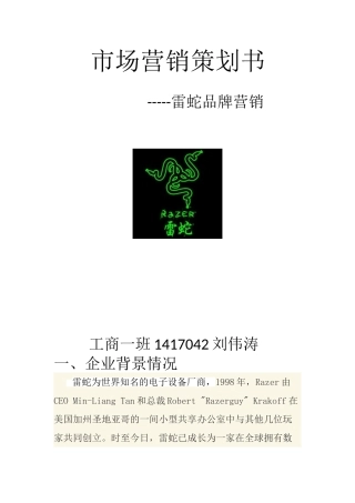 蛇雷品牌市场营销策划书--大学毕设论文
