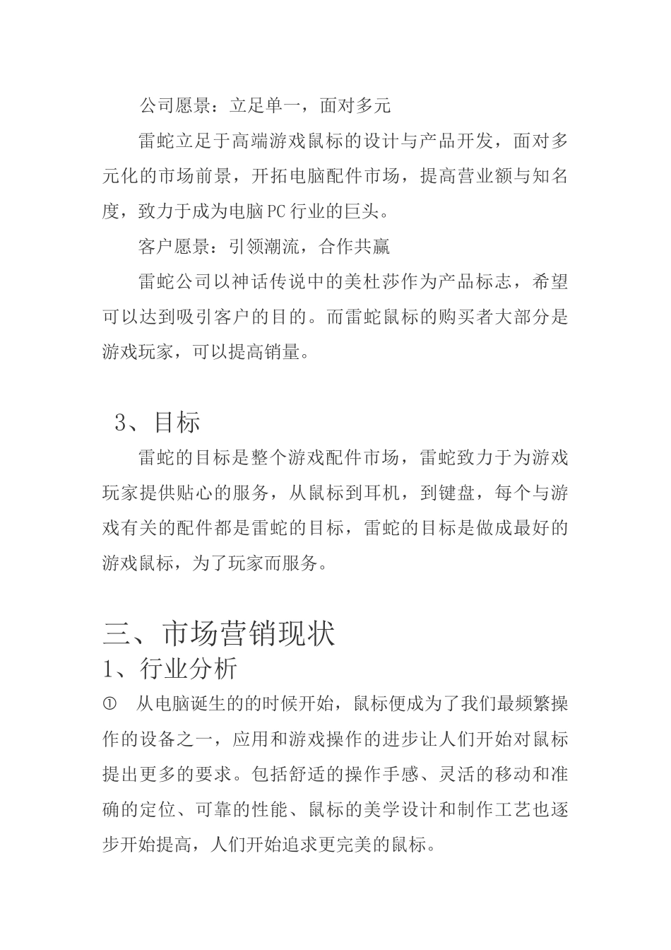 蛇雷品牌市场营销策划书大学论文_第3页