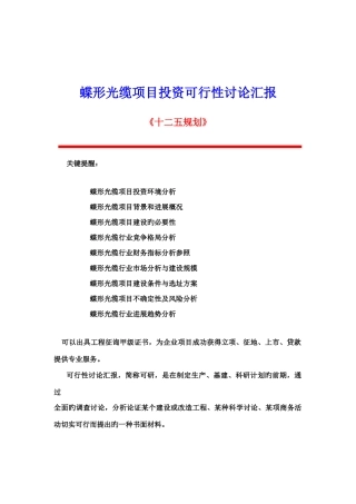 蝶形光缆项目投资可行性研究报告