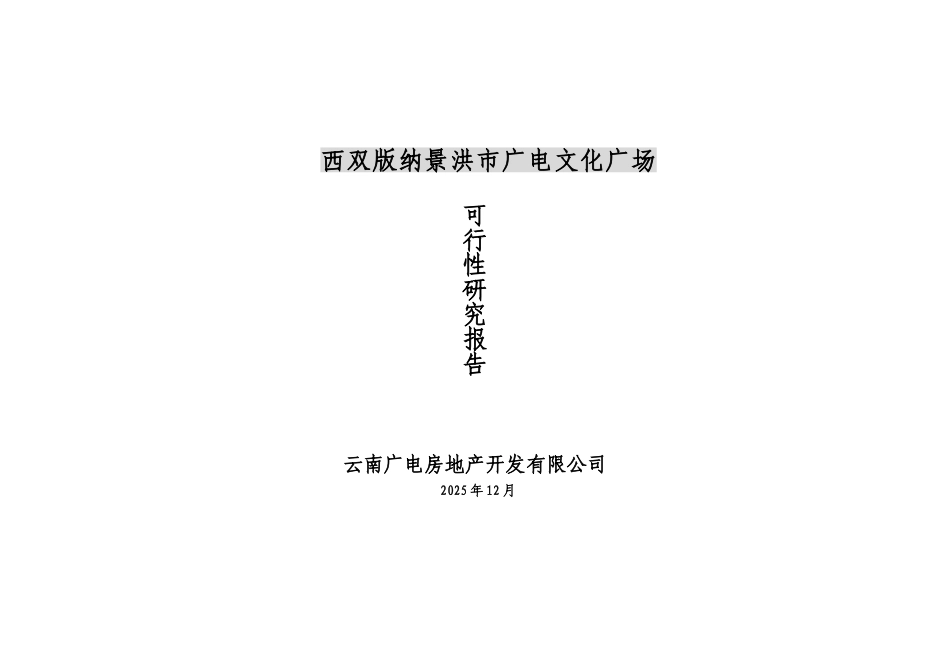 西双版纳景洪市广电网络文化广场项目可行性研究报告_第2页