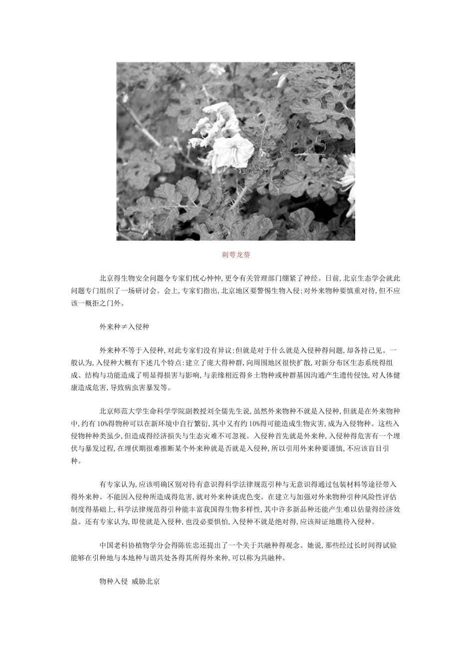 警惕生物入侵_第3页