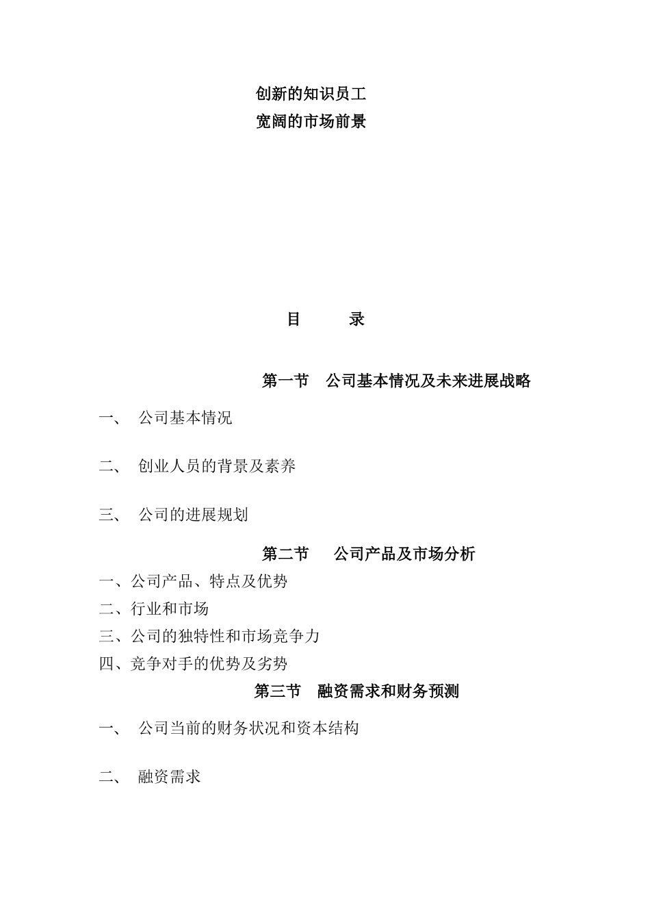 计算机信息技术公司的商业计划书_第3页