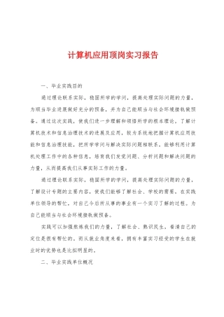 计算机应用顶岗实习报告
