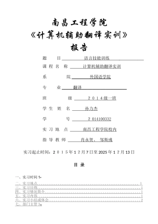 计算机辅助翻译实训报告格式