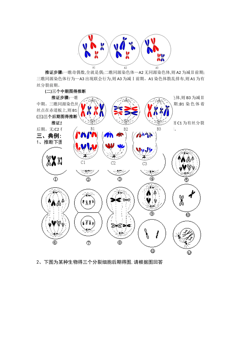 讲义：有丝分裂与减数分裂图像的判断_第2页