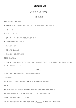 课时训练08  盐　化肥