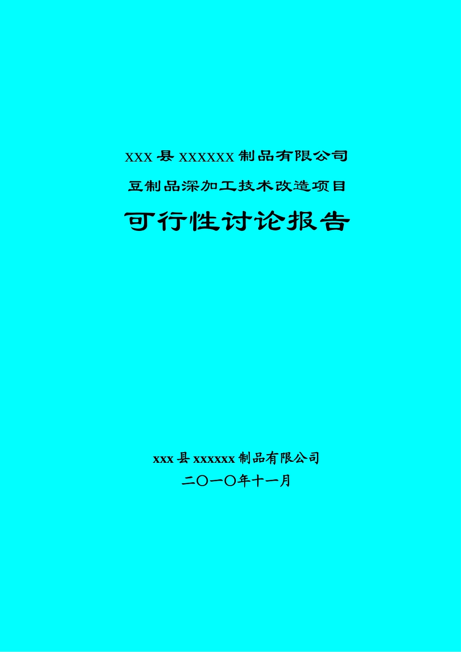豆制品深加工技术改造项目可行性研究报告_第2页