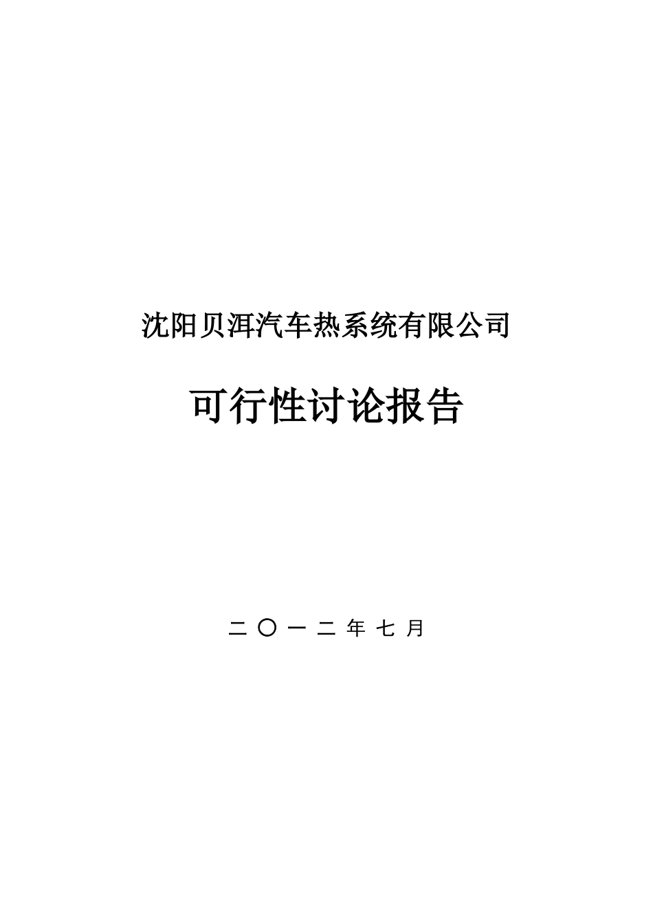 贝洱沈阳热系统项目可行性研究报告_第2页