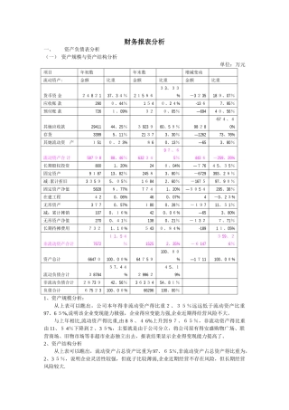 财务报表分析报告