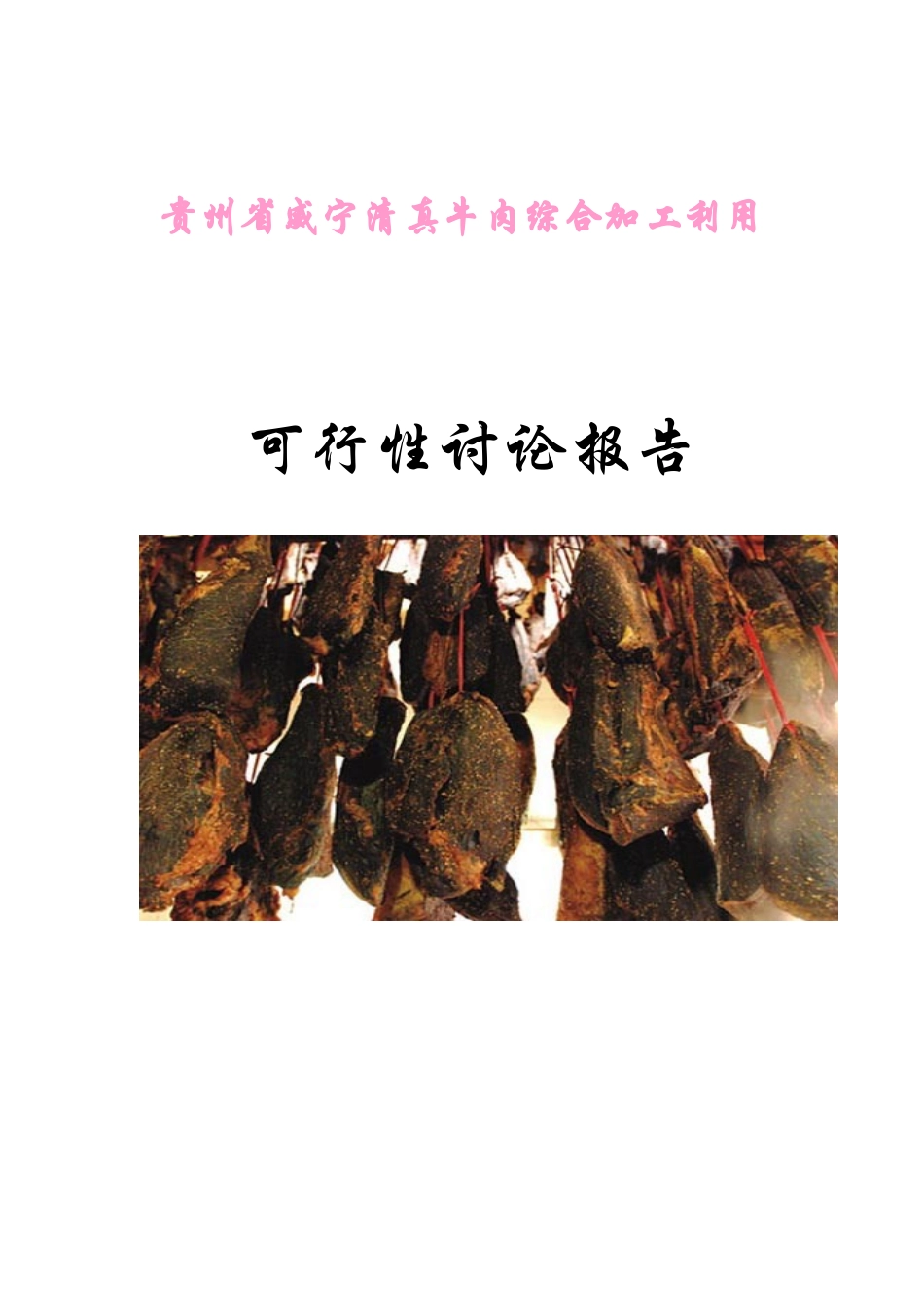 贵州省威宁清真牛肉综合加工利用可行性研究报告_第2页