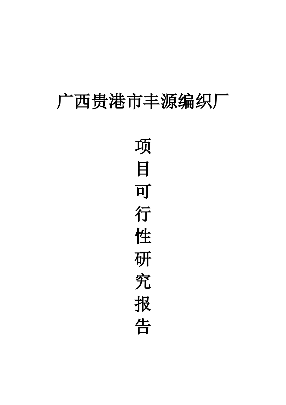 贵港市丰源编织厂可行性研究报告_第2页