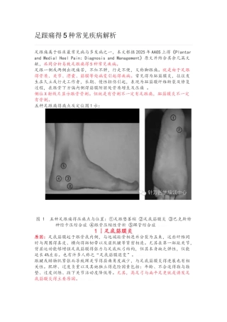 足跟痛的5种常见疾病解析