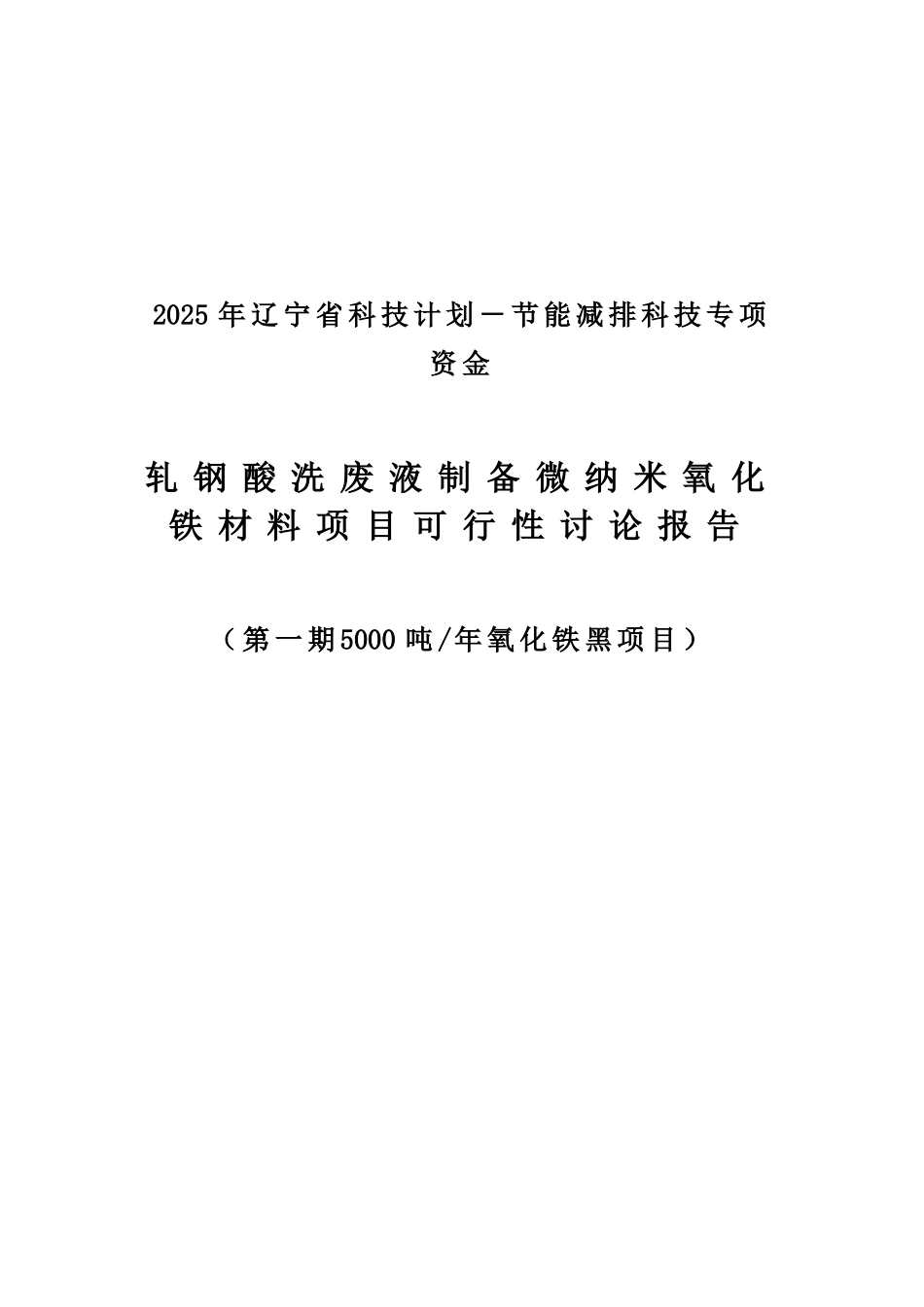 轧钢酸洗废液制备微纳米氧化铁材料项目可行性研究报告_第2页