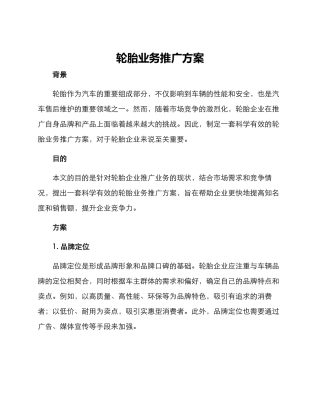 轮胎业务推广方案