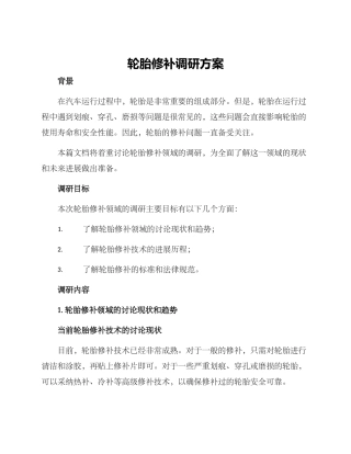 轮胎修补调研方案