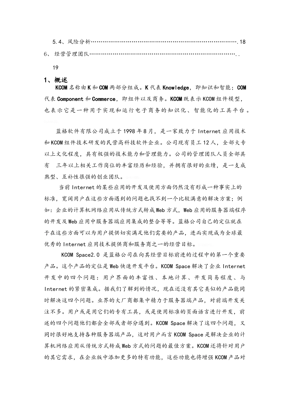 软件公司商业计划书_第2页