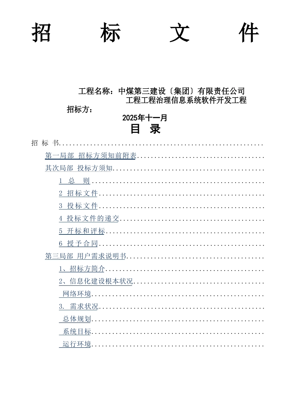 软件开发项目标书模版_第1页