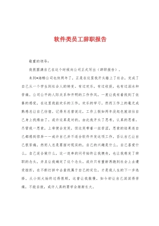 软件类员工辞职报告