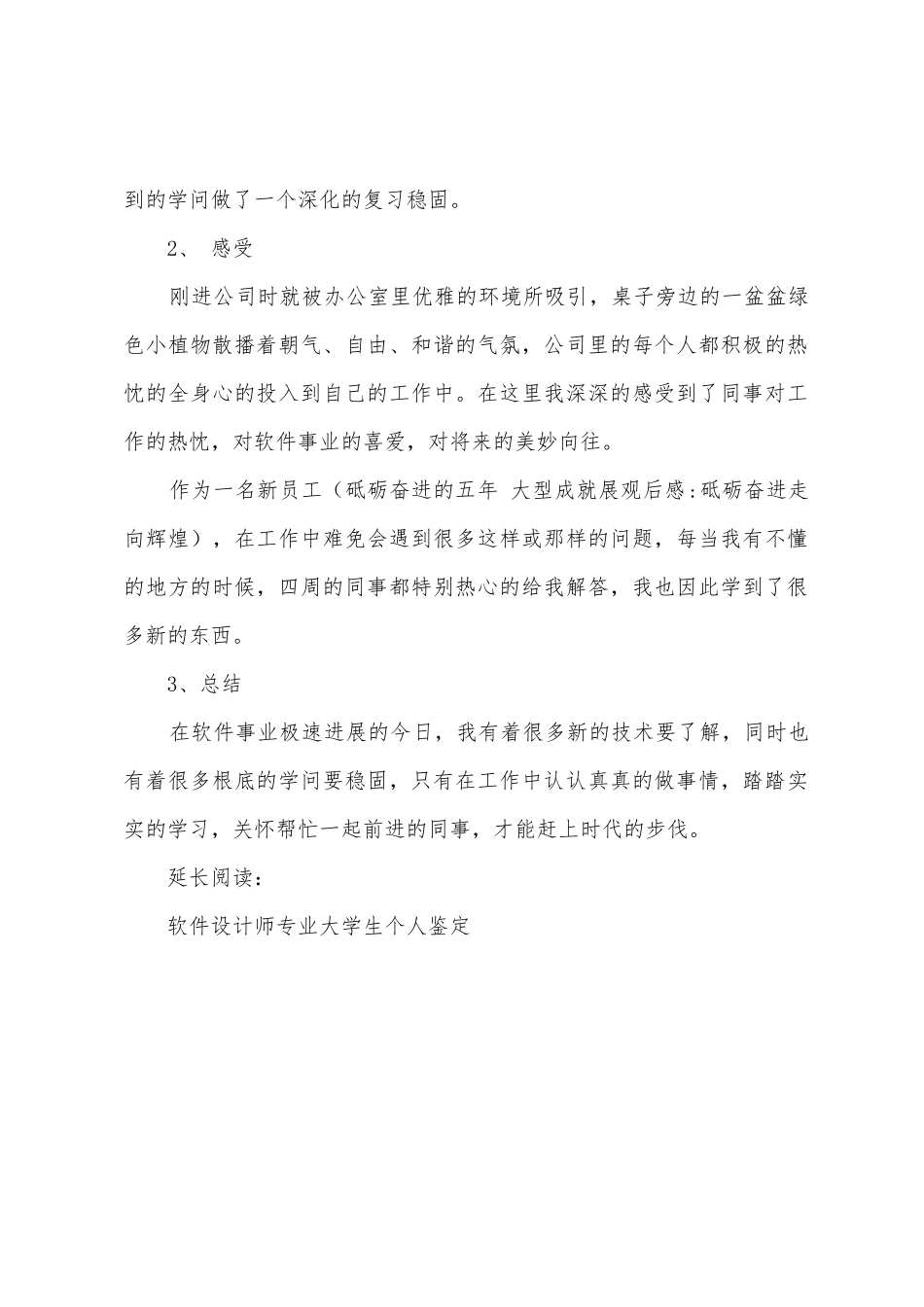 软件设计师工作总结及小结_第2页