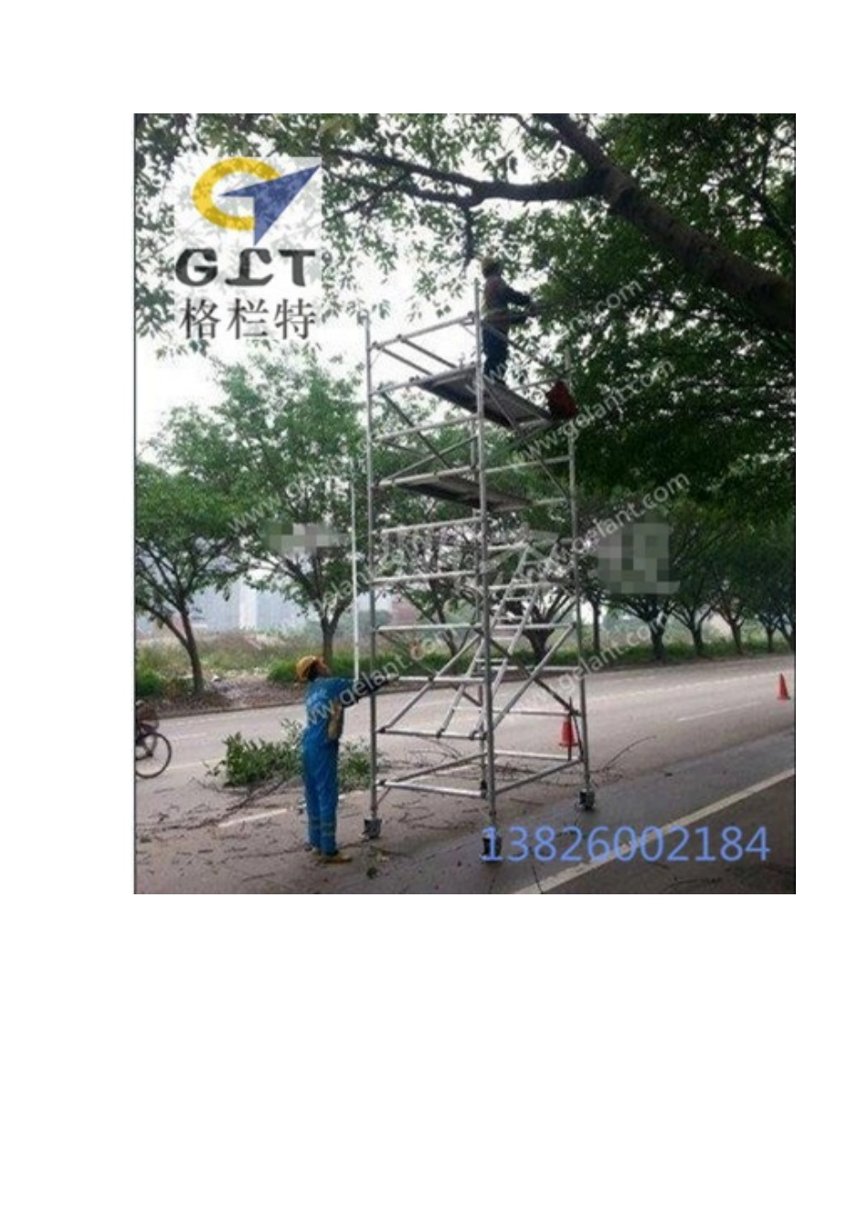 较高大树的修剪技巧_第3页