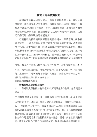 较高大树的修剪技巧