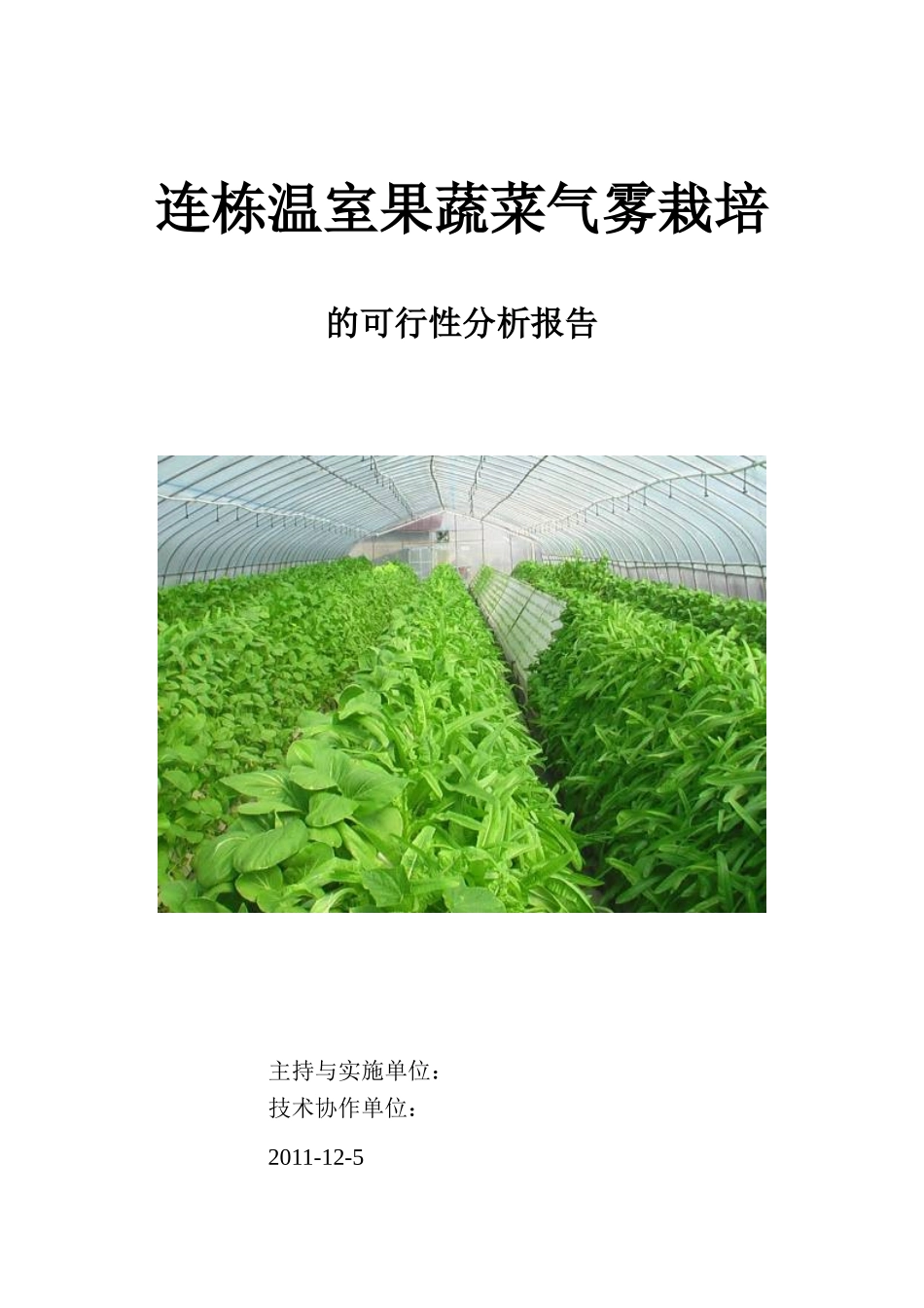连栋温室果蔬菜气雾栽培的可行性分析报告_第2页
