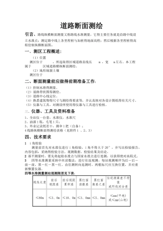 道路断面测绘