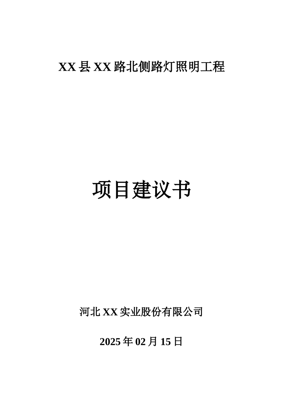 道路灯照明工程项目可行性研究报告_第2页