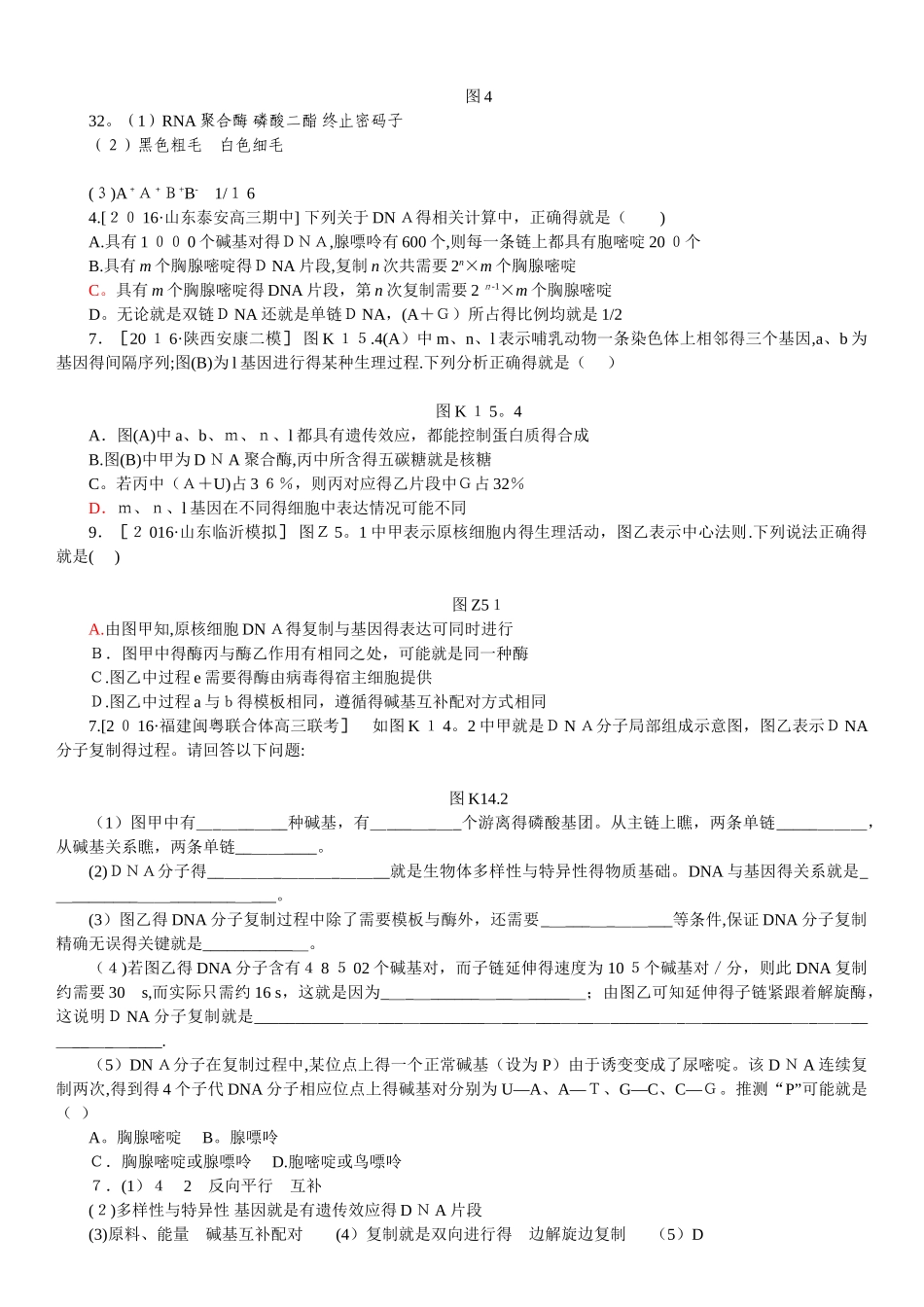 遗传的分子基础练习_第3页