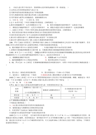 遗传的分子基础练习
