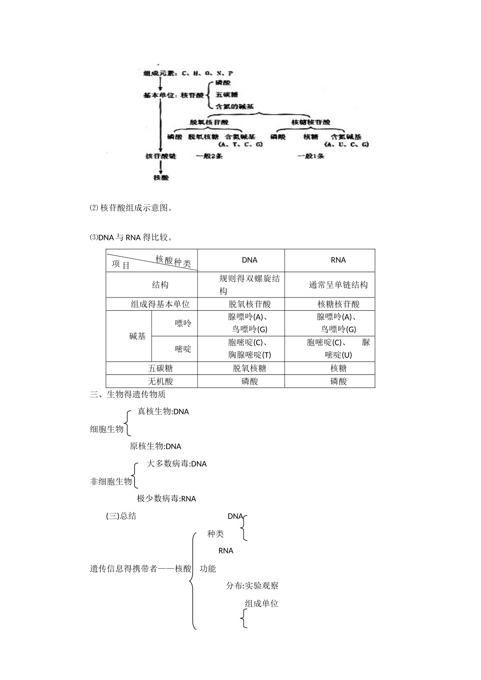遗传信息的携带者核酸问题教案_第3页