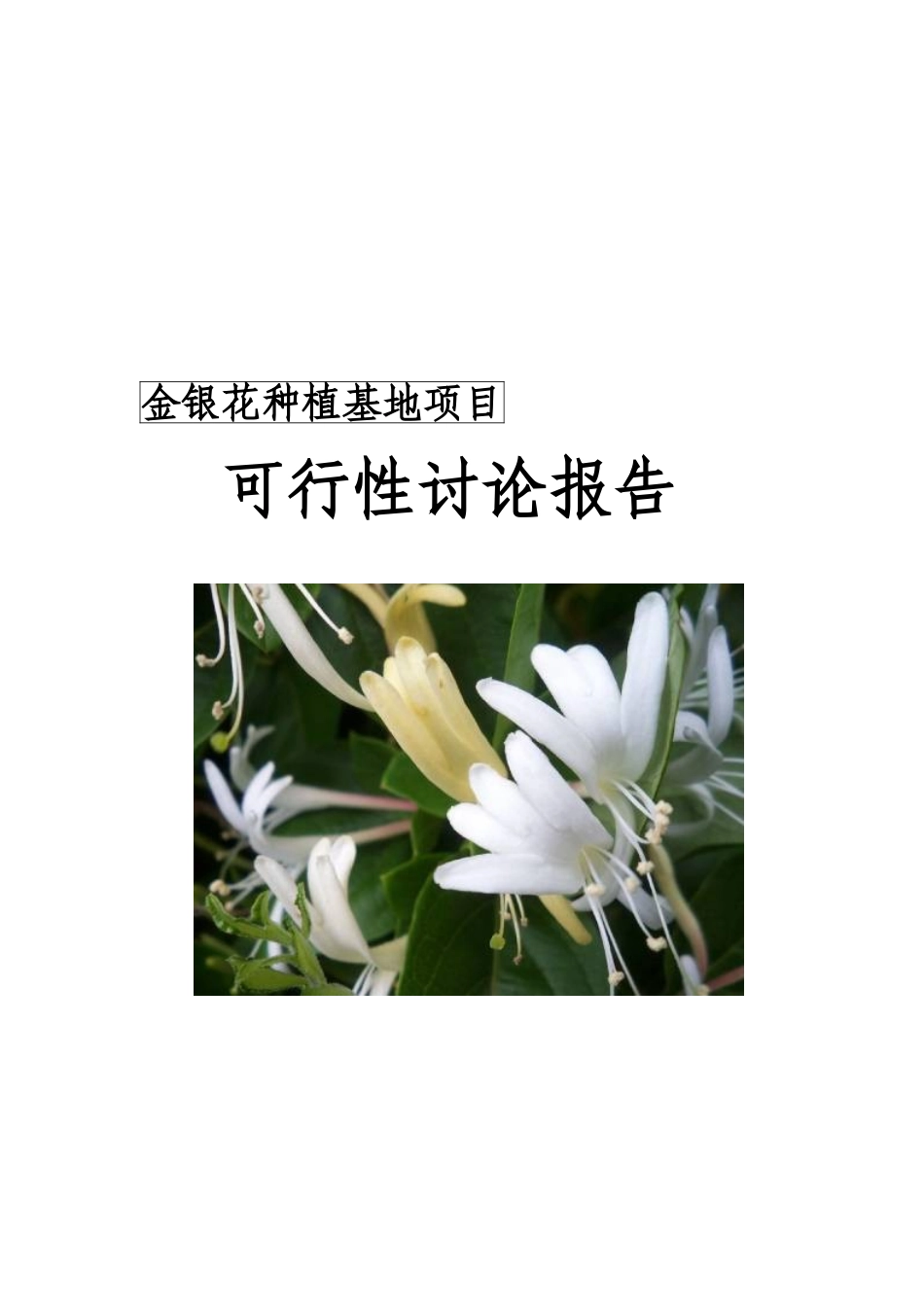 金银花种植与产业化可行性研究报告_第2页