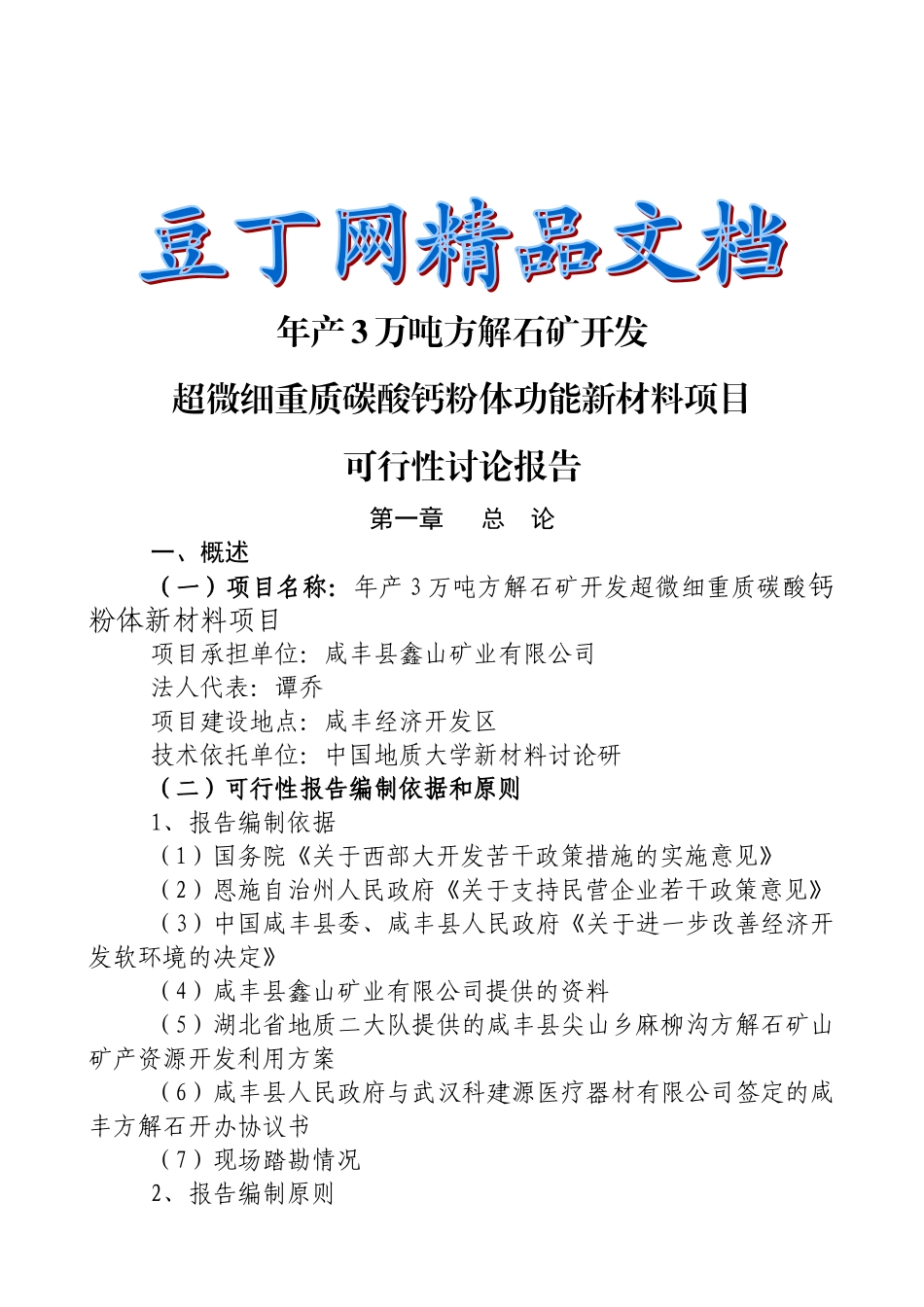 鑫山矿业有限公司项目可行性研究报告_第2页