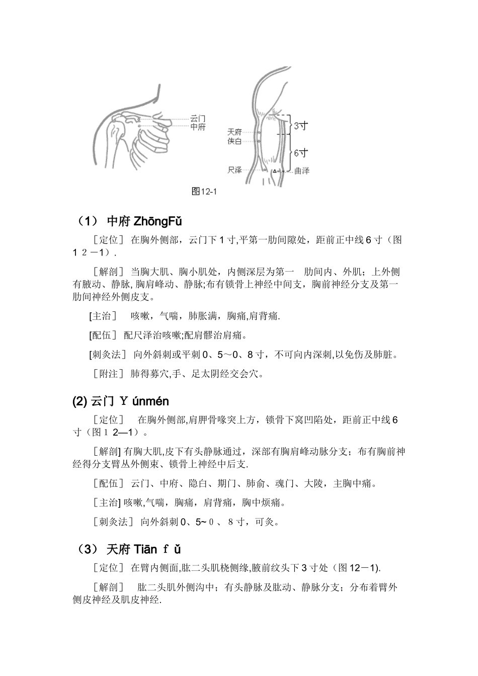 针灸学穴位大全_第2页