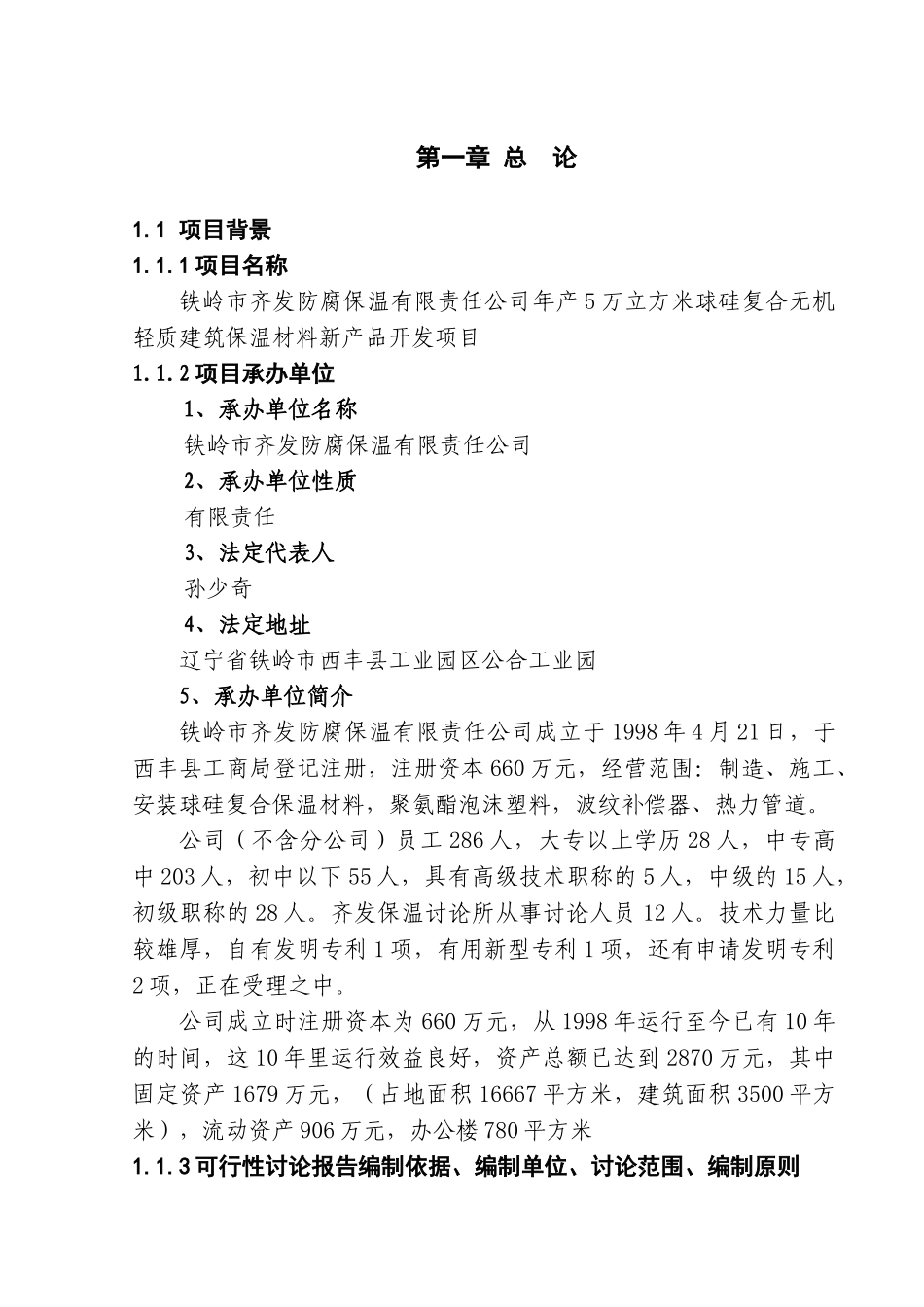 铁岭齐发建材可行性研究报告_第2页