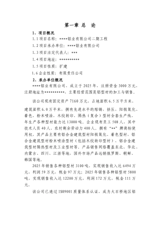 铝业有限公司二期工程项目可行性报告