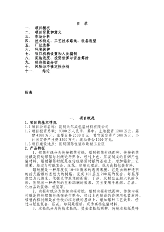 铝箔衬纸内框衬纸印刷项目可行性研究报告