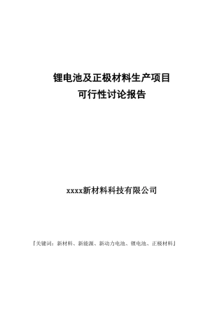 锂电池及正极材料生产可行性研究报告书