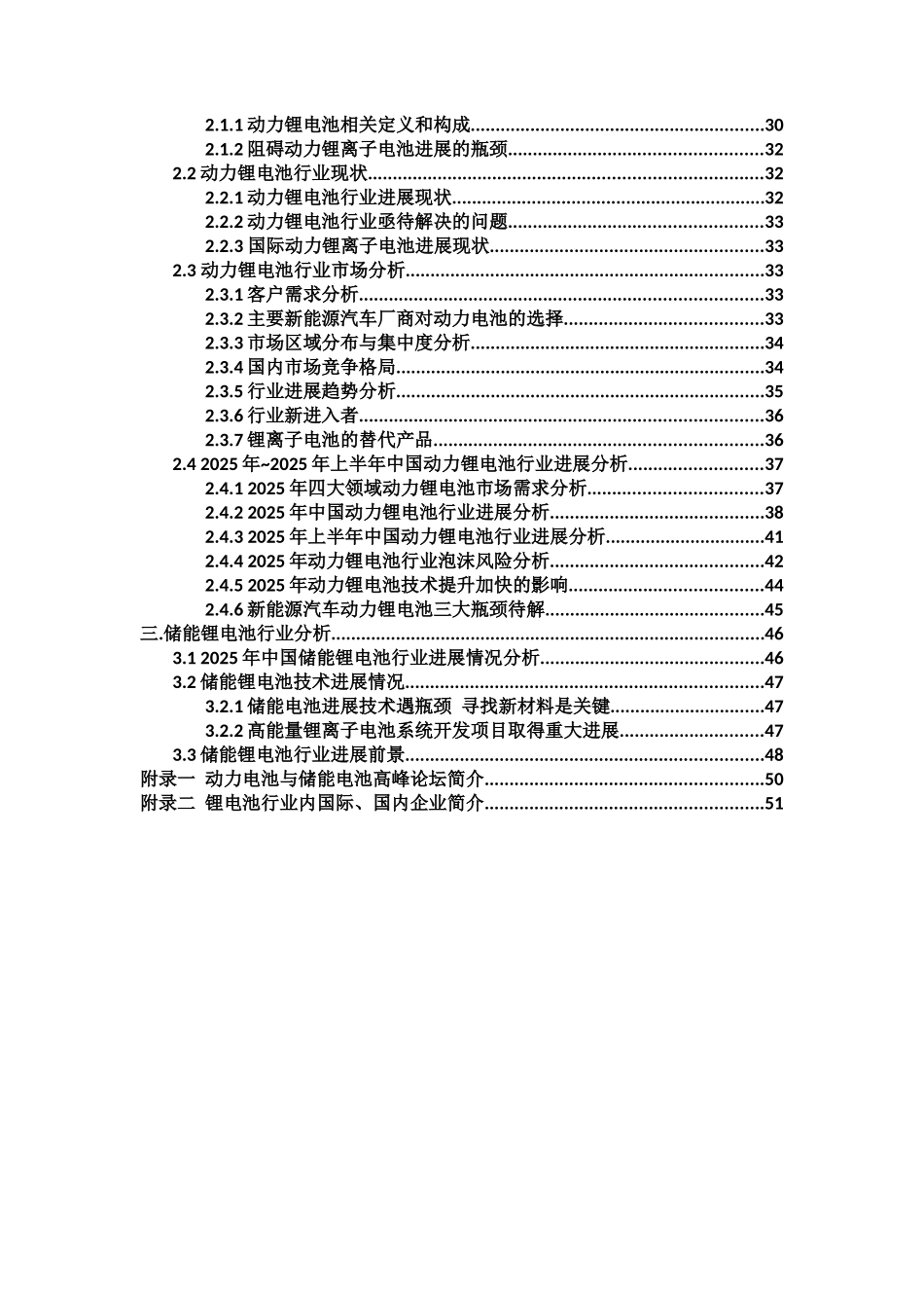 锂离子动力电池及储能电池行业研究报告_第2页