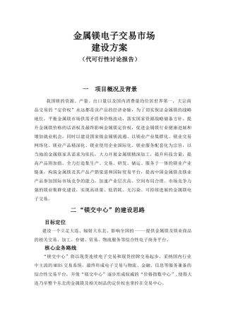 镁业电子交易市场建设方案