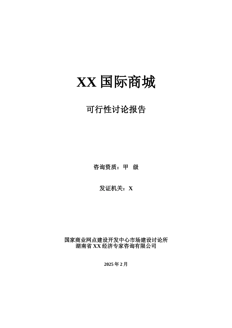长沙国际商城可行性研究报告_第2页