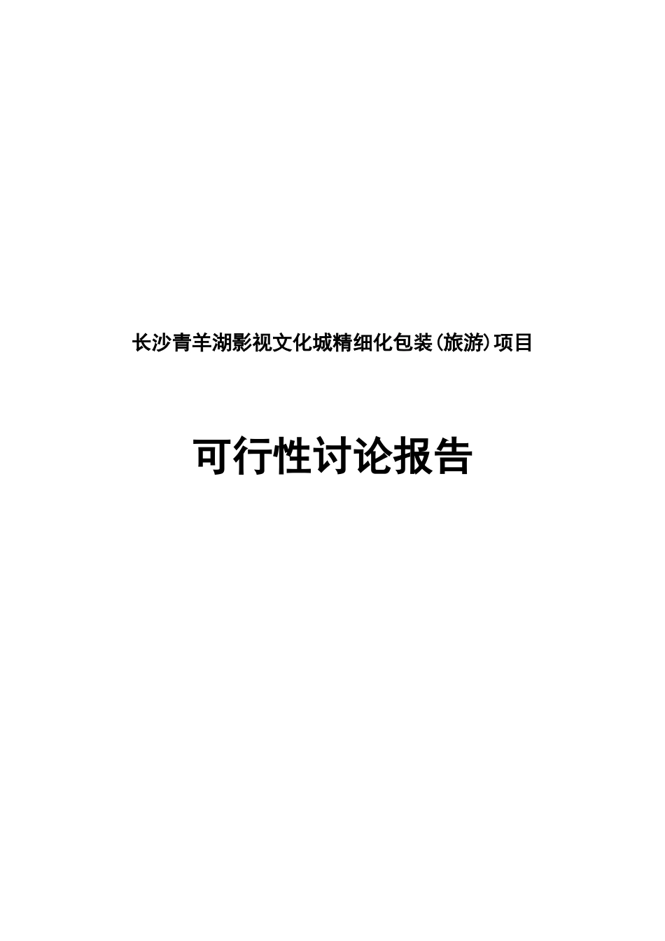 长沙青羊湖影视文化城精细化包装项目可行性研究报告_第2页