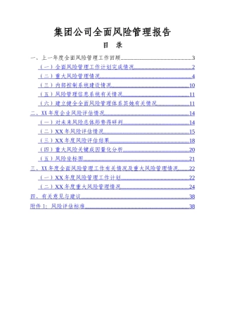 集团公司全面风险管理报告