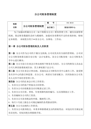 集团分公司财务管理制度