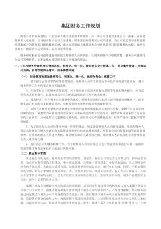 集团财务工作规划