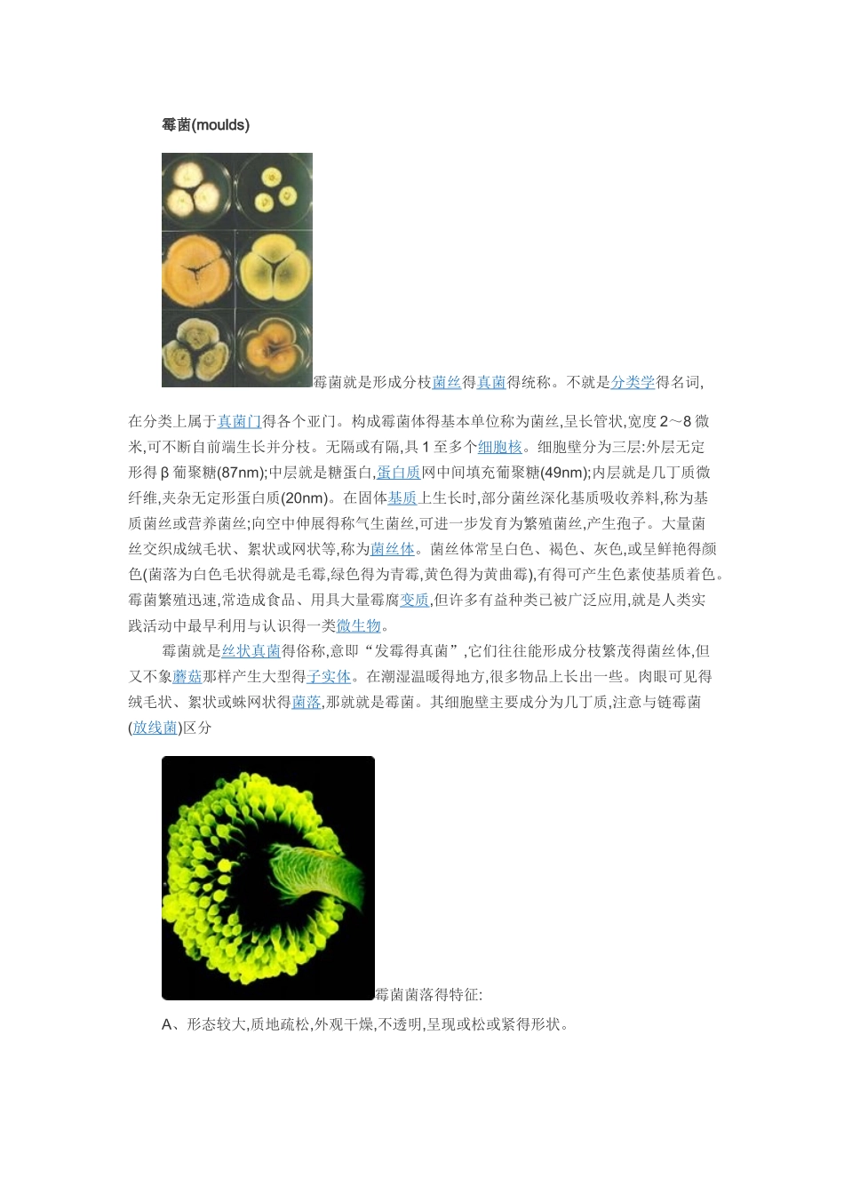 霉菌-基础知识_第3页