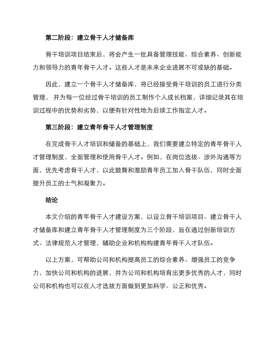 青年骨干人才建设方案_第2页