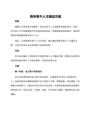 青年骨干人才建设方案
